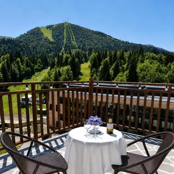 BM Plaza, hotel i Bakuriani