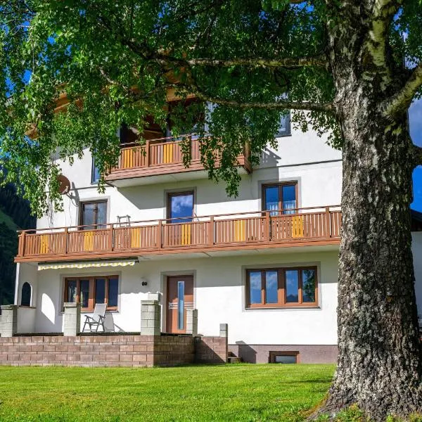 Ferienwohnung Wasle, hotel v destinaci Häselgehr