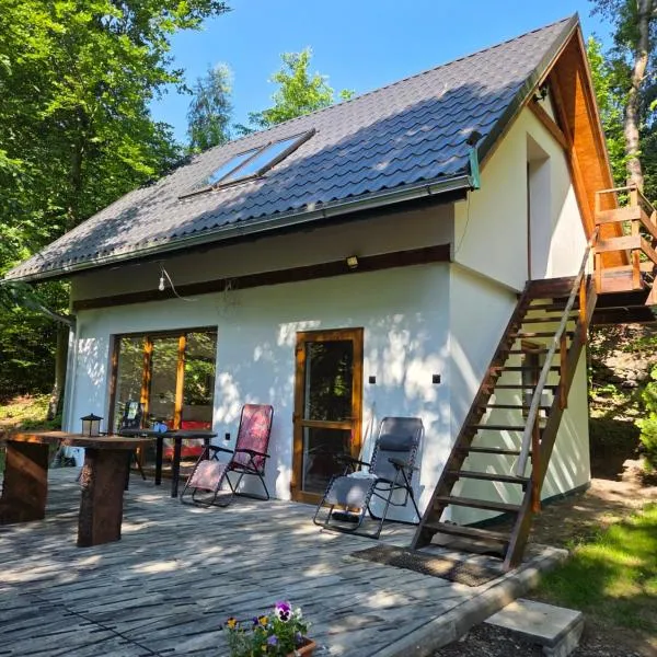 Dolina Izerów, готель у місті Sucha