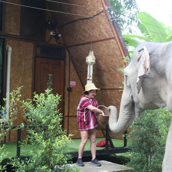 Hidden Gem Elephant, hotel v destinaci Chiang Mai