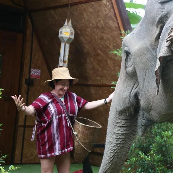 Hidden Gem Elephant、チェンマイのホテル
