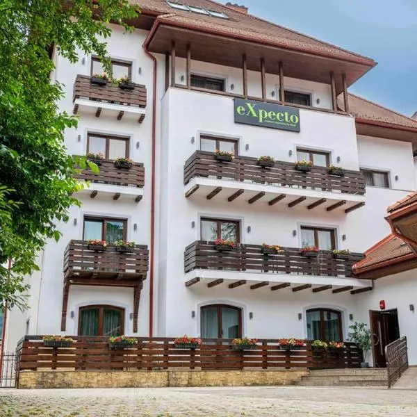 Expecto Apartments, hotel in Sinaia