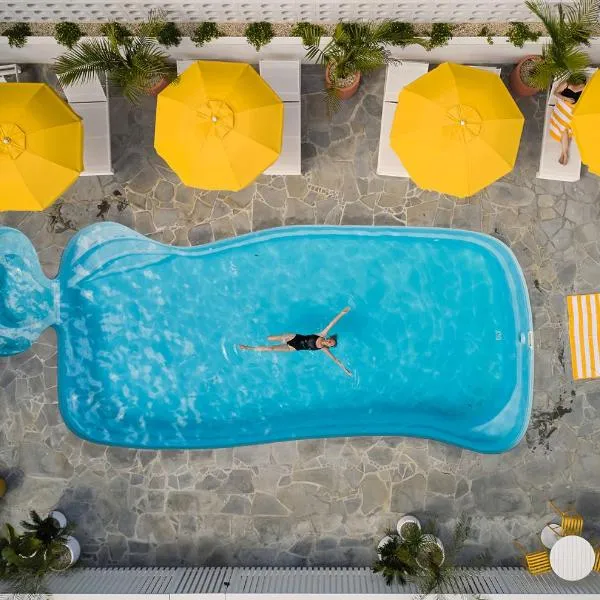 Sunnymead Hotel, hotel i Aireys Inlet