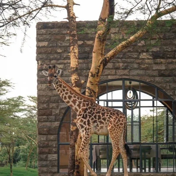 Giraffe Manor Tanzania, hotel u gradu 'Usa'