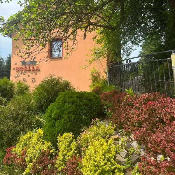 Całoroczny Domek pod Brzozami – hotel w Polańczyku