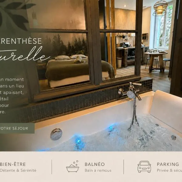 Craft Home - Le menuisier - Balneo - Parking privé, hotel in Saint-Étienne