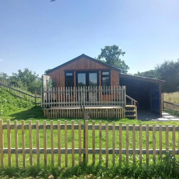 Daisy Cabin-couples retreat-undercover hot tub، فندق في Llanbrynmair