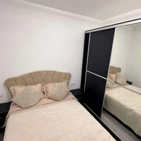 Tîrgu Neamţ में, होटल Miry Apartment