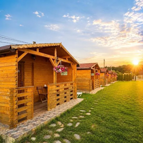 Casa Fericirii, hotel v destinácii Cîrţişoara