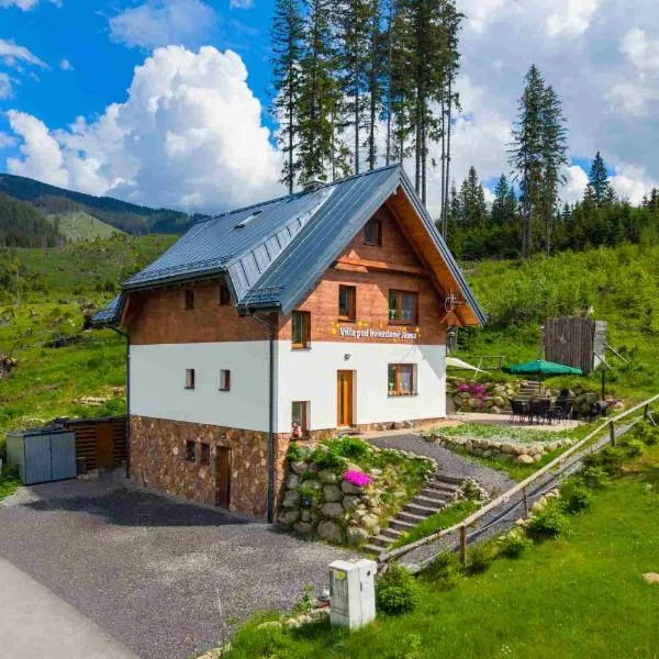 Villa pod hviezdami Jasná, hotel en Demänovská Dolina