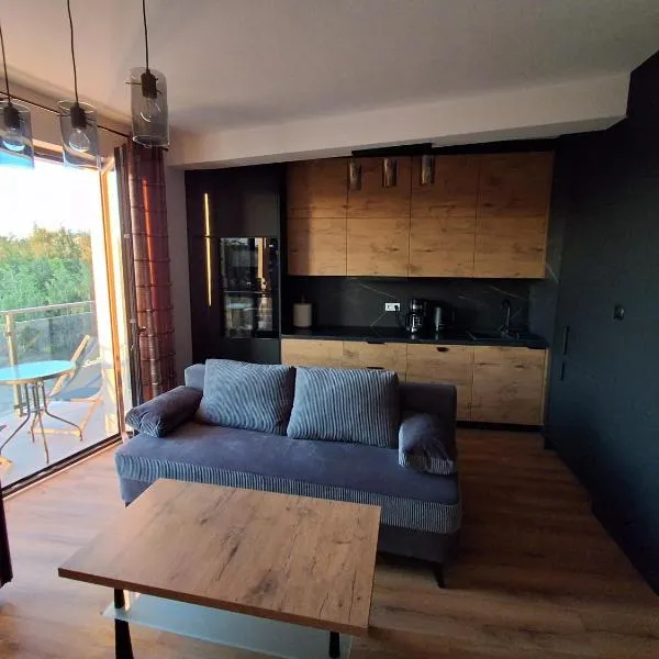 Apartament Poleska BIS, Hotel in Częstochowa