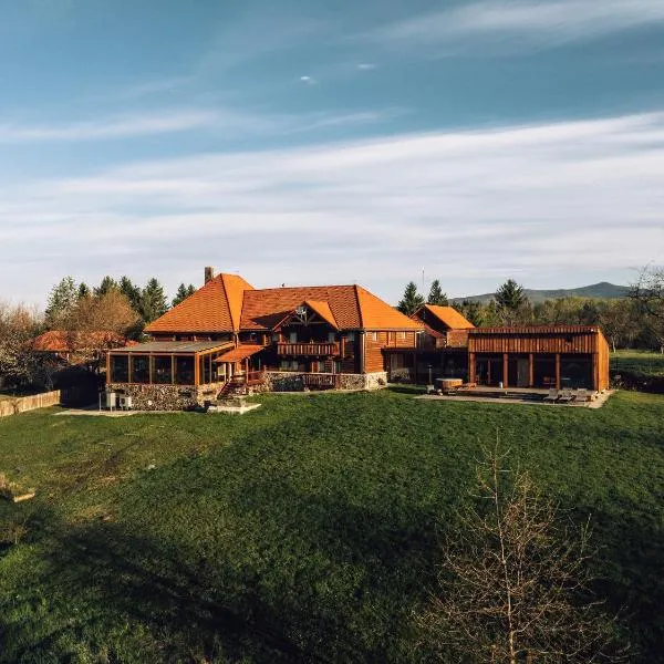 Honor Pensiune & Spa, hotel i Izvoare