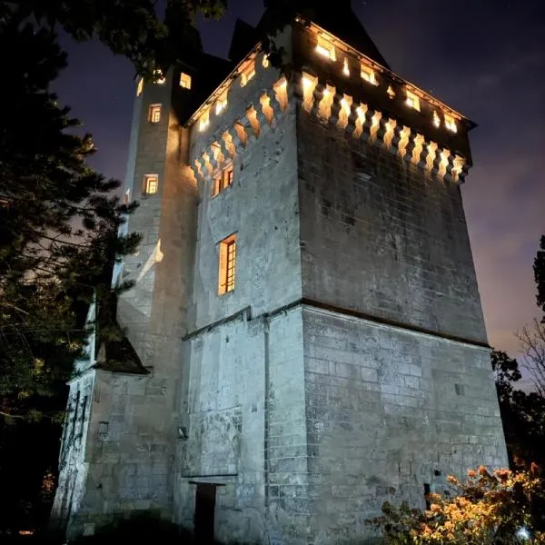 Donjon de Saintines - gîte 7 adultes 3 enfants - monument historique, hotel v destinaci Saintines