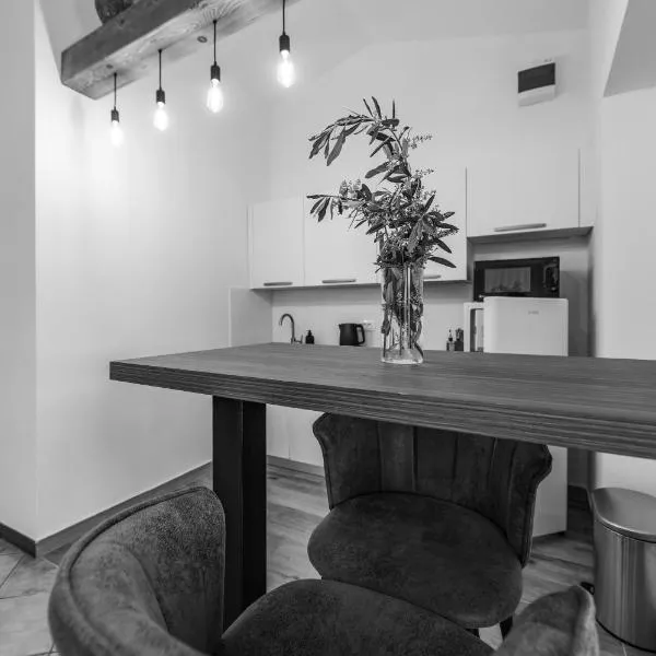 Studio apartma Kamin, hotel sa Nova Vas