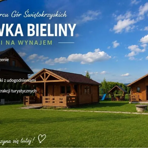 Viesnīca Witówka Bieliny pilsētā Bieliny