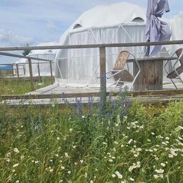 Glamping 4 us – hotel w mieście Topliţa