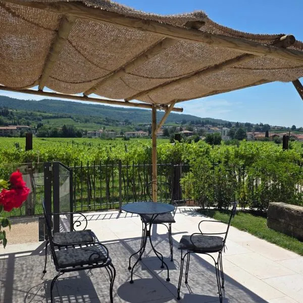 Agriturismo Igino - Camere fra Vigneti della Valpolicella、ネグラールのホテル
