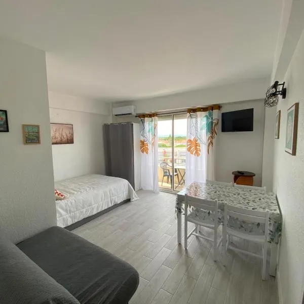 Studio vue mer et montagne pieds dans l'eau, hotel di Saint-Cyprien-Plage