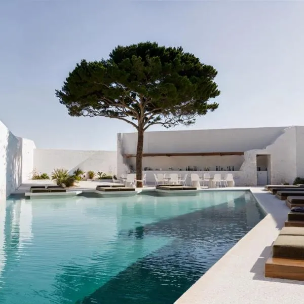 ANOME Mykonos Experience Hotel, hotel em Ornos