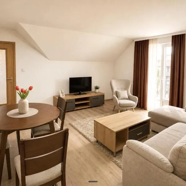 Apartmani Resimic, hotell Ivanjicas