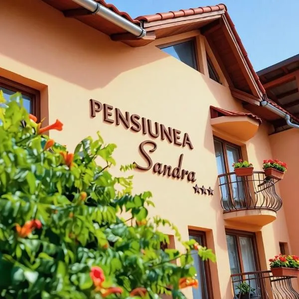 Pensiunea Sandra, Hotel in Ocna Şugatag