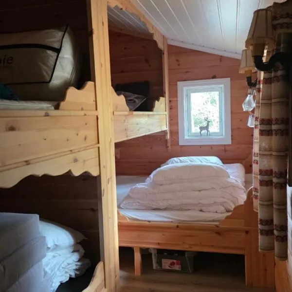 Fjellhytte Solsem helårsidyll på Lifjell, hotel in Lifjell