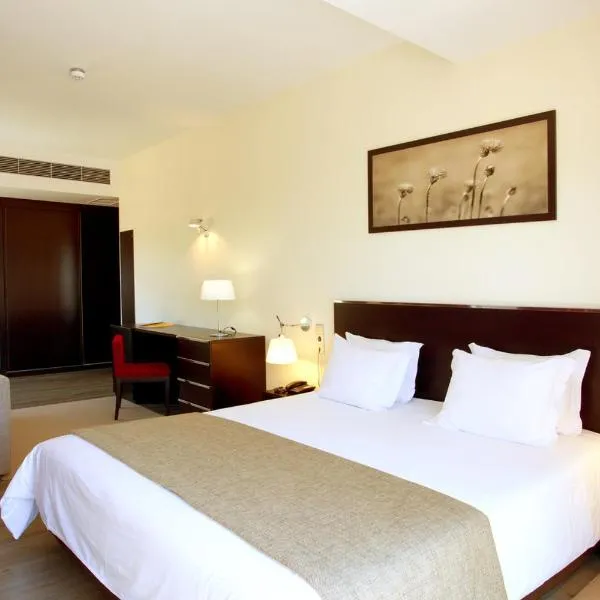 Hotel S Pedro - Arouca, hotel en Arouca