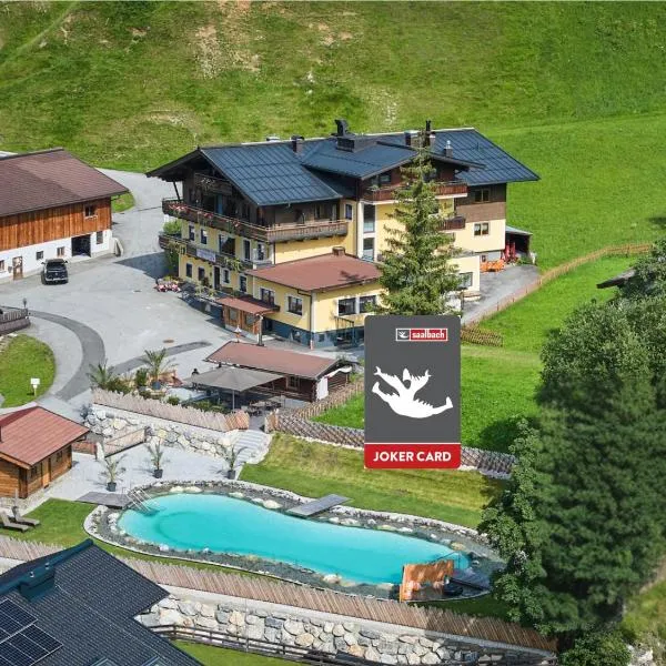 Eibinghof BED & BREAKFAST & SWIM, מלון בזאלבך הינטרגלם