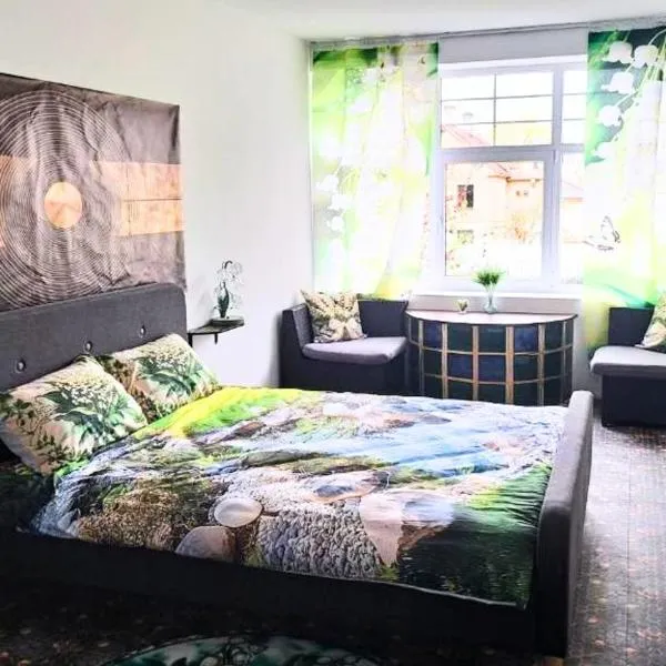 Apple Paradise, House of mirrors, self check-in – hotel w Rydze