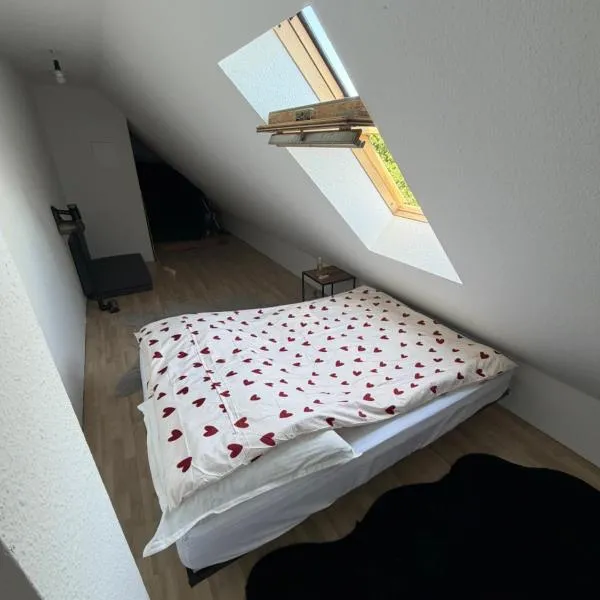 Exklusives Dach-Loft Helles Wohnerlebnis – hotel w mieście Elmshorn