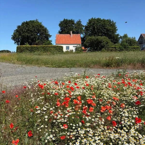 House in beautiful Österlen, hotel en Tomelilla
