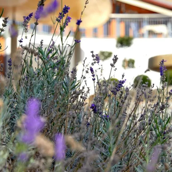 Ayurveda Resort MANDIRA, hotel u gradu 'Bad Waltersdorf'