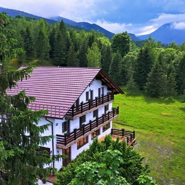 Belvedere Retezat, hotel in Cîmpu lui Neag