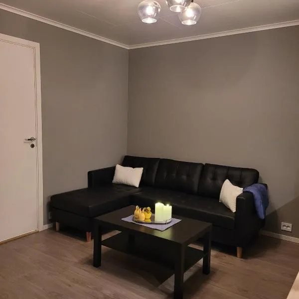 Newly built apartment in Sogndal, close to Sogndal Strand, hotell sihtkohas Sokndal