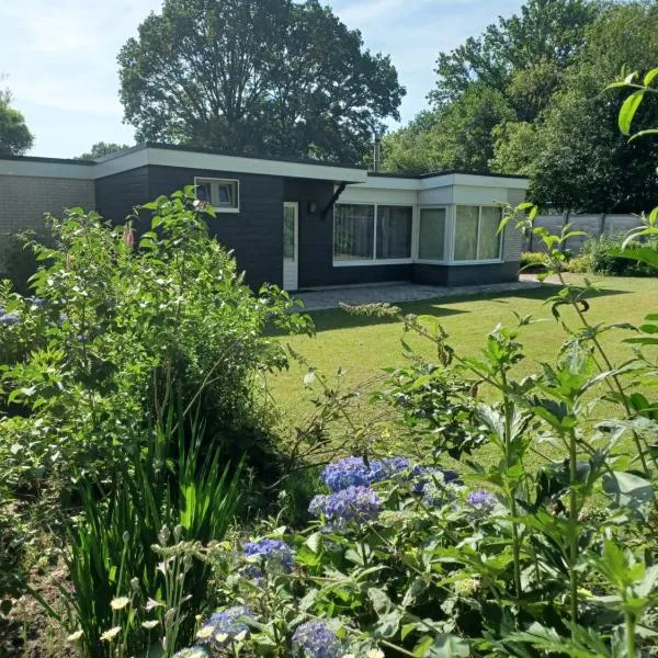 Bungalow net buiten Zuidwolde, hotel din Zuidwolde