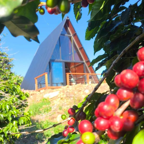 Paradise In Coffee