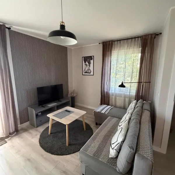 Apartament 9 Rydzyna, hotell i Rydzyna