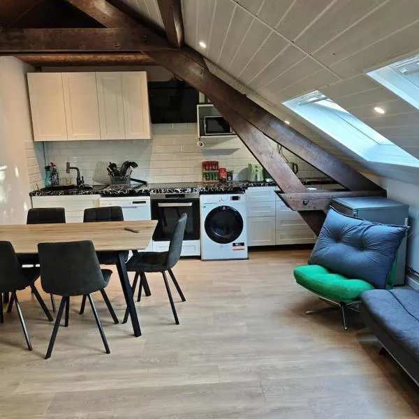 Magnifique T4 entièrement refait, jardin, parking – hotel w Belfort
