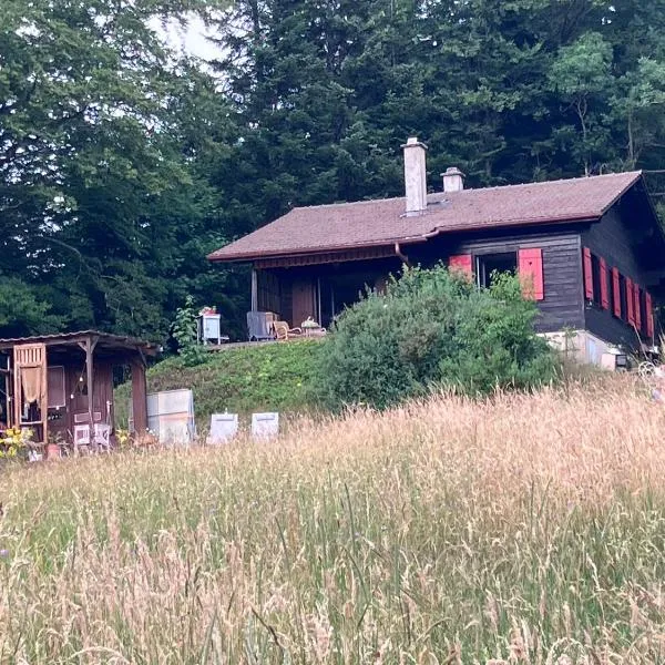 un ptit chalet, hotell sihtkohas Les Brenets