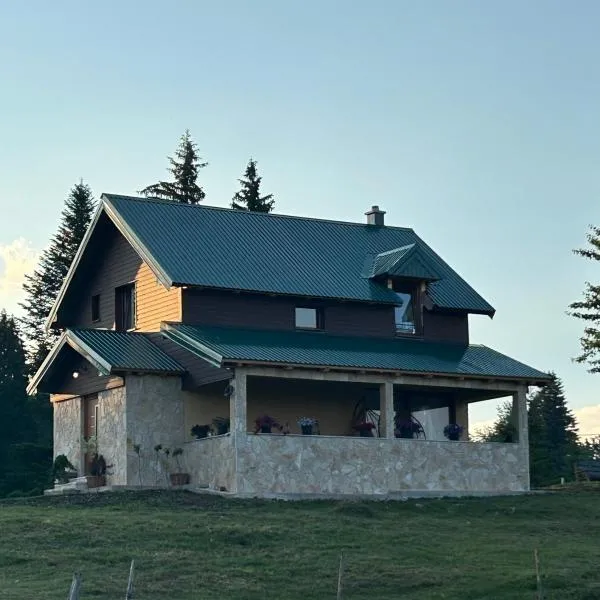Vila Zelena dolina Green Valley, hotel i Žabljak
