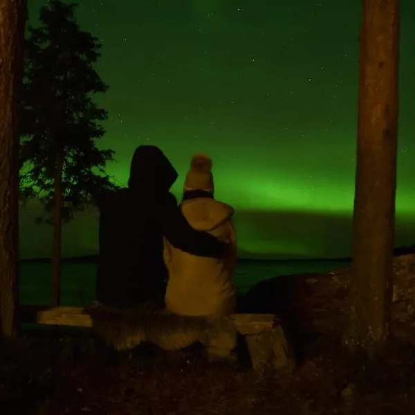Blue Moment at the Arctic Circle- Forest, beach, activities, hotel din Meltosjärvi