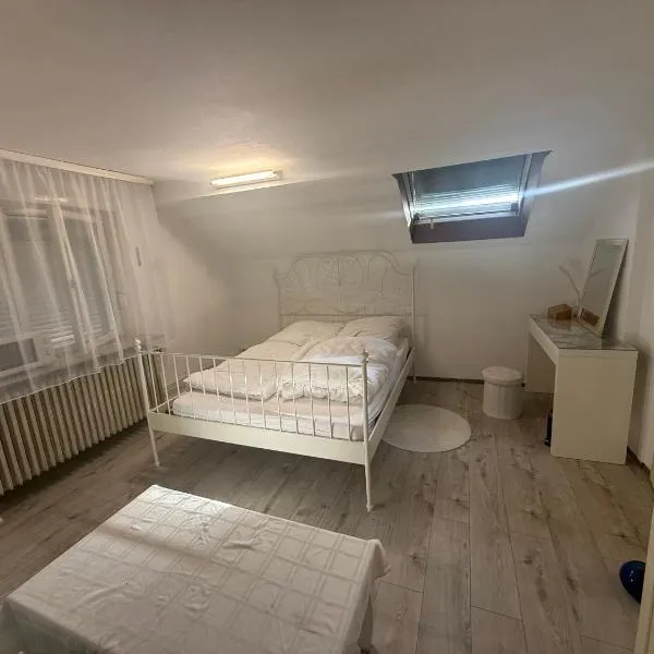 Private Top Floor Apartment near Sana Klinik, hotel sa Offenbach