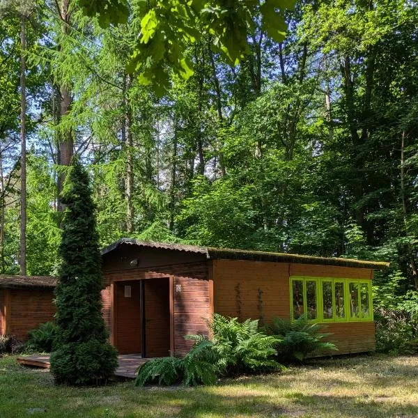 Mikutiku leśne domki nad morzem, готель у місті Мікошево