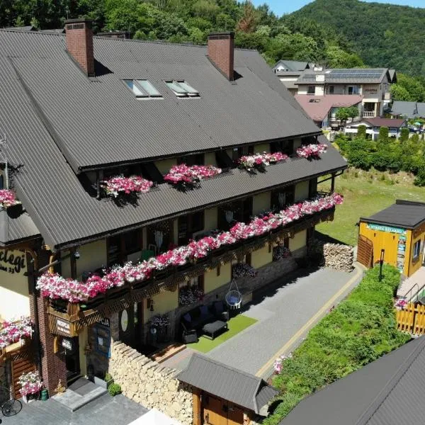Zielone Wzgórza - Centrum Soliny - SPA 695-744-679, hotel u gradu Solina