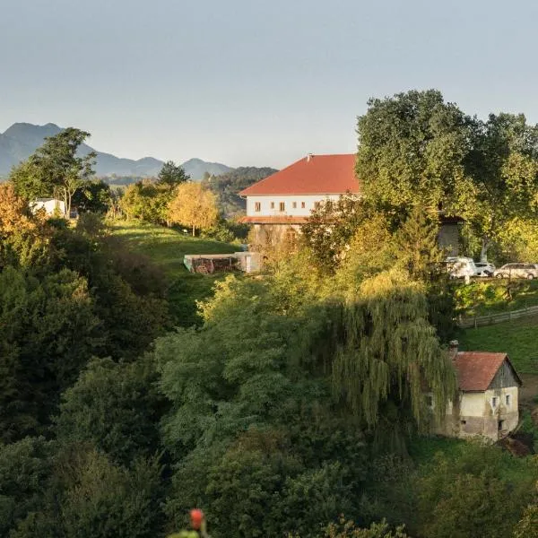 Villa Kasimir, hotel in Videm pri Ptuju