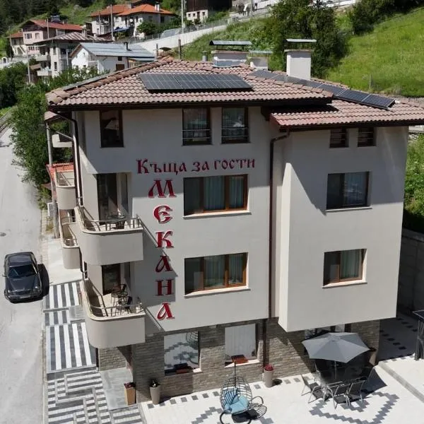 Къща за гости Мекана, hotel Borinóban