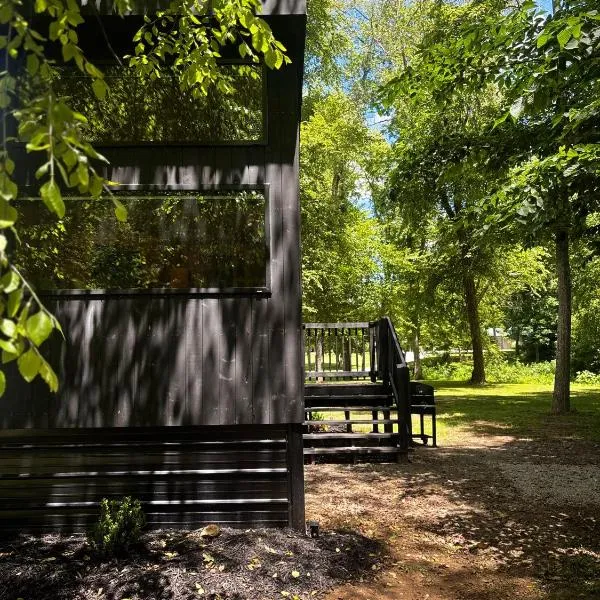 Pine Creek Cabins & Camping Resort, hotel din South Bloomingville