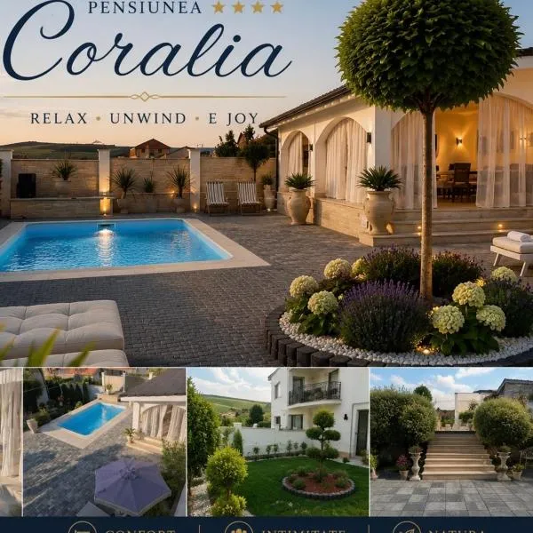 Pensiunea Coralia, viešbutis mieste Deva