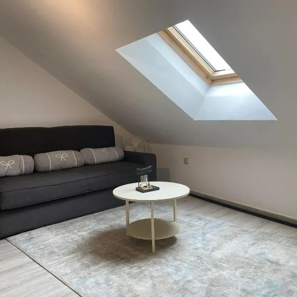 Spacious apartment in Charleroi 100 m² with parking 5 ppl, hôtel à Charleroi