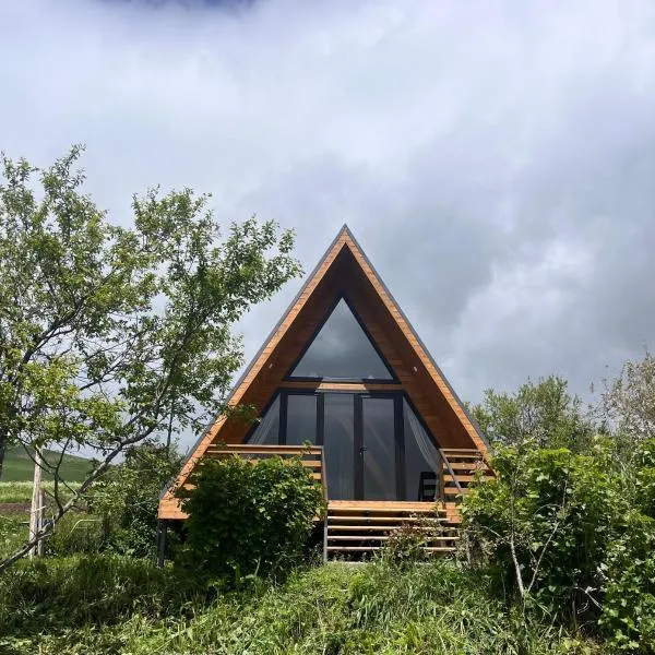 Aurora Cottage Tabatskuri Lake, отель в городе Tabatsquri